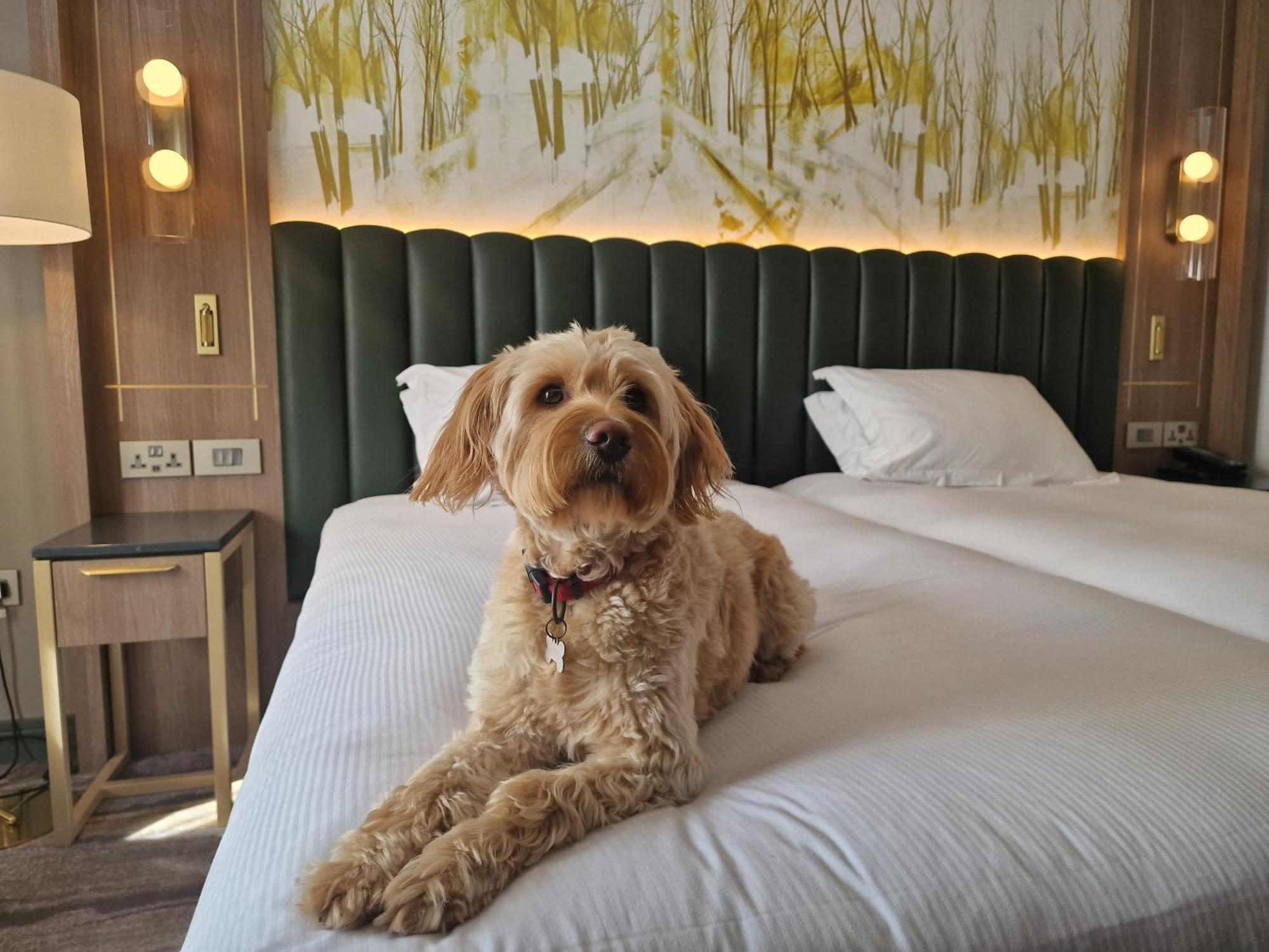 Hilton Dublin Kilmainham Hotell Exteriör bild